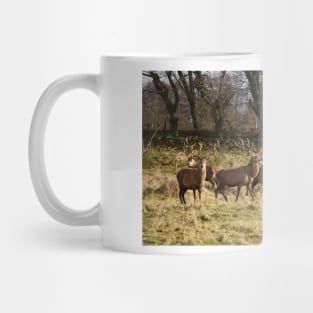 Deer in the Highlands Mug